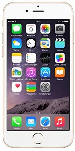 Apple iPhone 6 Plus Reparatur